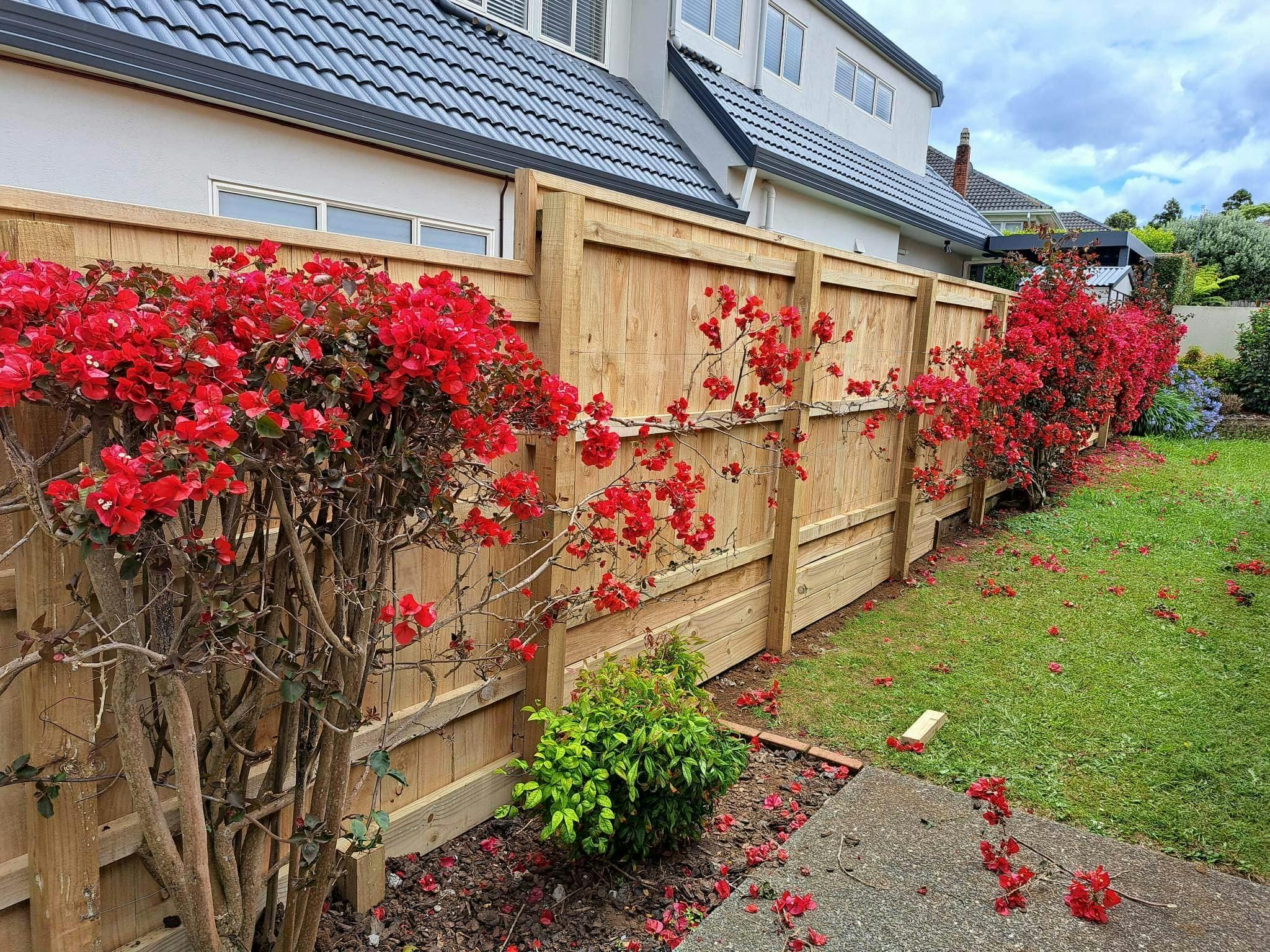 Brand new Fence with a garden